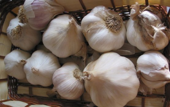 �������� �������� �������