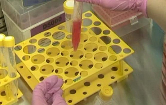 � ������ ������� ������ ������ ��������� ������� ����