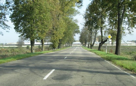 ����� � �������� ������ ������-��������� - ������� ����� ������ ����