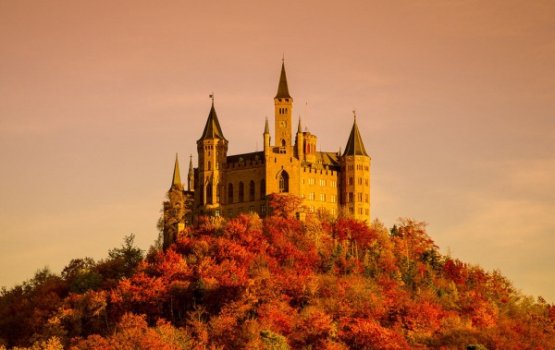 ����� �������� ����� ��� ����� ���������� ��������