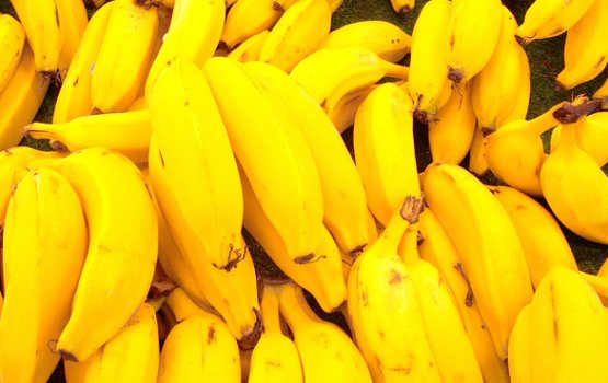 �������, ������, ������� � ����� ������ ����� ��������?