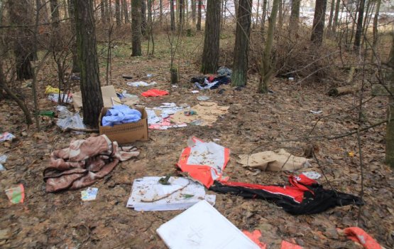 � ���� �������� ����?