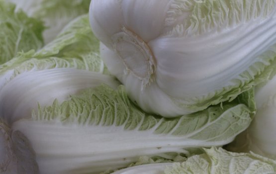 ������ �� ��������� �������: ������ ������� 