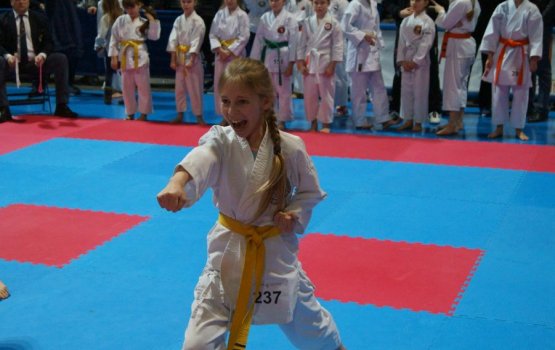 ���� - �������� ������ �� ������