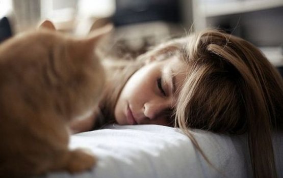 ����� 4 ������� ������ ��������� ���������