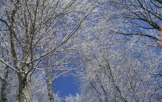 � ������ ������ - ����� ������, ����� ��������� ���������