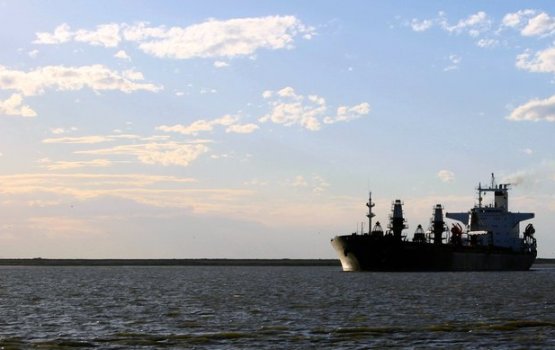 ���: ������ ������������ ������ ���� ������ ���������������