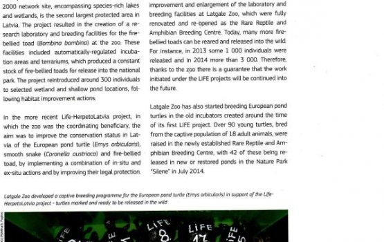 ������ ������������ ������� ������ ������� � ������������