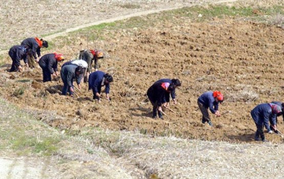 ������ ���� �������� ������� ���������� � ������