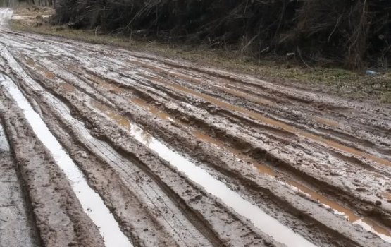 ������ � ������ ���������� Varavīksne ������� ������� ��������