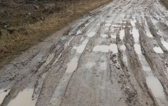 ������ � ������ ���������� Varavīksne ������� ������� ��������