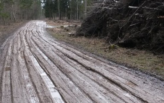 ������ � ������ ���������� Varavīksne ������� ������� ��������