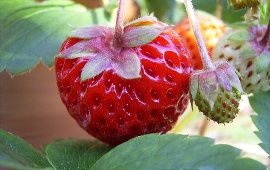 �������� ���� �� ��������� ������