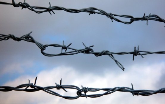 ����������� ����������