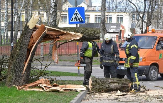 �� ����� ������� �� ������ ����� �������� ������