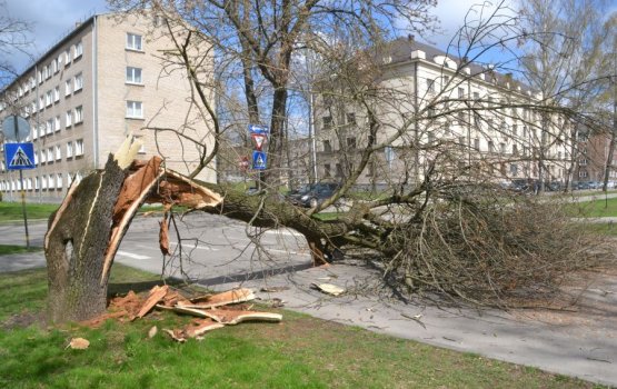 �� ����� ������� �� ������ ����� �������� ������