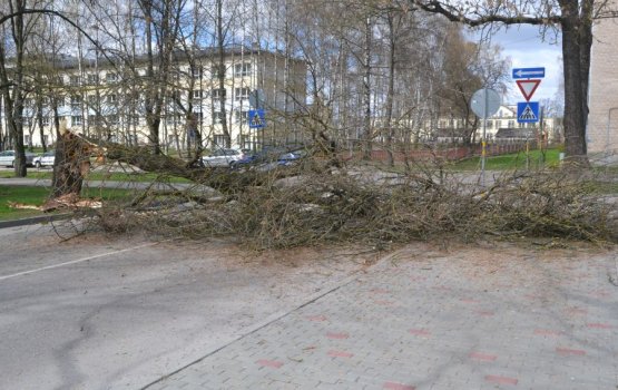 �� ����� ������� �� ������ ����� �������� ������