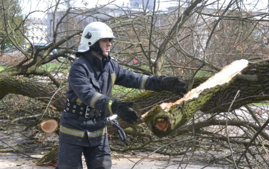 �� ����� ������� �� ������ ����� �������� ������