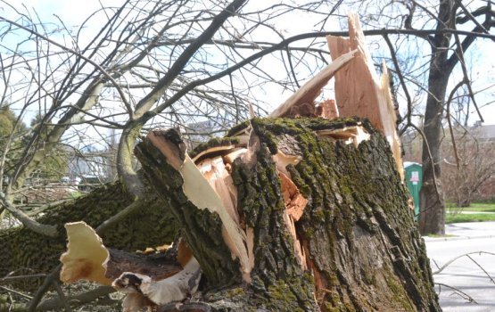 �� ����� ������� �� ������ ����� �������� ������