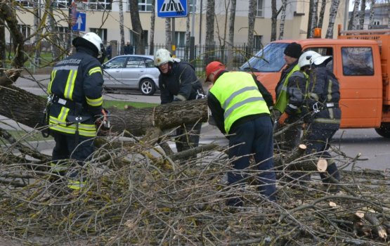 �� ����� ������� �� ������ ����� �������� ������