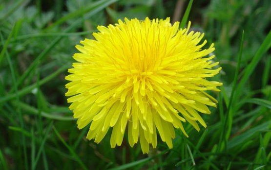 �������: "������� ������ �������� � �����, ����� � ��� �������"