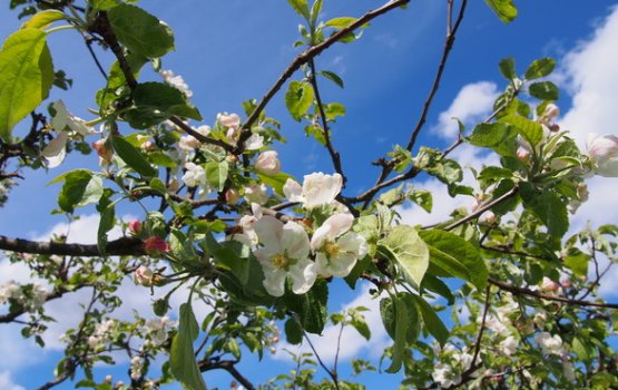 �������� ��� ���������. ���, ��� � � ����� ����� ����?