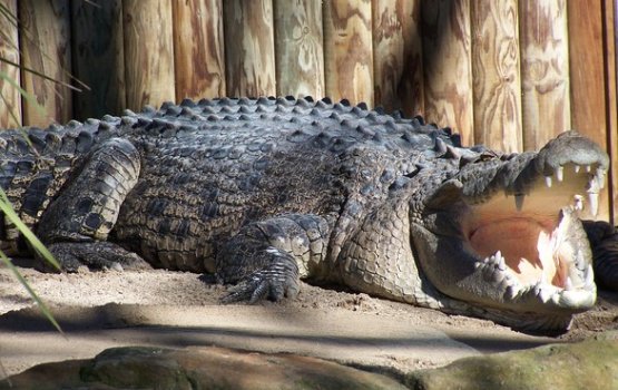 ������������� ��������� ������� �� ���������� ������� ������