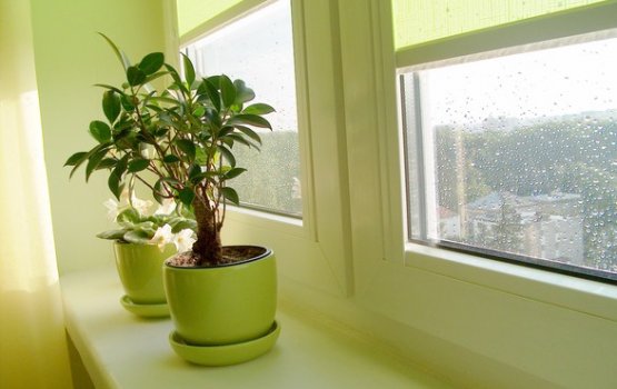 ��������� ����������� ��������� � ������ �������� �� ���