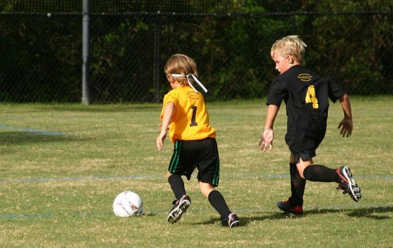 ������� ����� ��������� ������ ���������� ���������