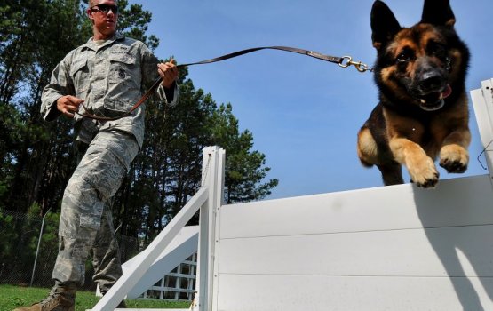 ���������� ������� �������� � ������ ������� � ����������