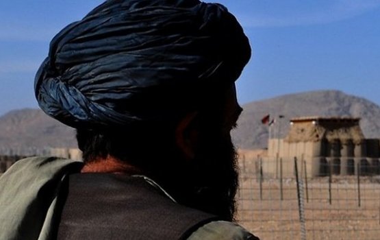 ������ ��������� ������ ������� ��������������� ������� "�������"