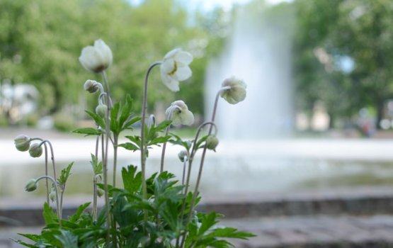 �� ����� ��������� ����� ����� �������