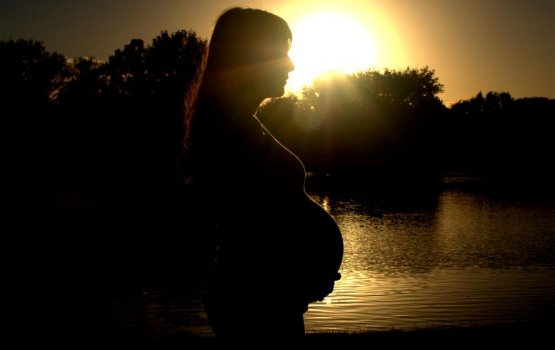 ������ ������ �������� ������� ����� ���������� ������