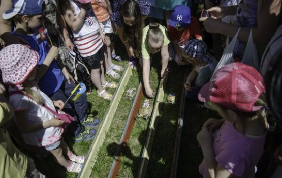 �������� �������� � �������: ���������� �����, ��������� ���� � ����������