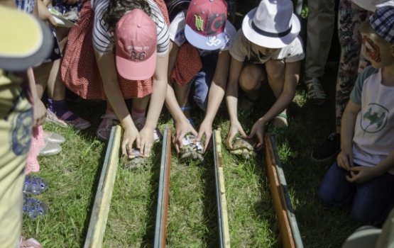 �������� �������� � �������: ���������� �����, ��������� ���� � ����������