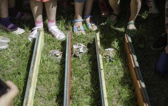 �������� �������� � �������: ���������� �����, ��������� ���� � ����������