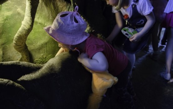 �������� �������� � �������: ���������� �����, ��������� ���� � ����������