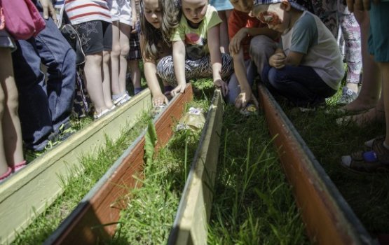 �������� �������� � �������: ���������� �����, ��������� ���� � ����������