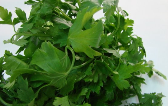 ��� ���������� �������� �� ������ �������