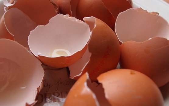 ��� ������ � ������ ���������