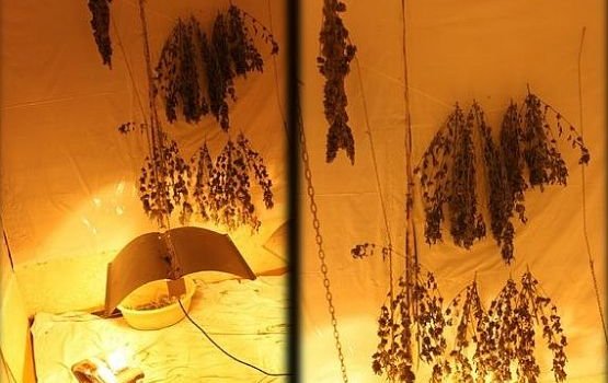 � ������� ��������� �������� � ������� � ������� ���������