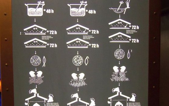 � ����� �������� ������ ���� ������ ��������?