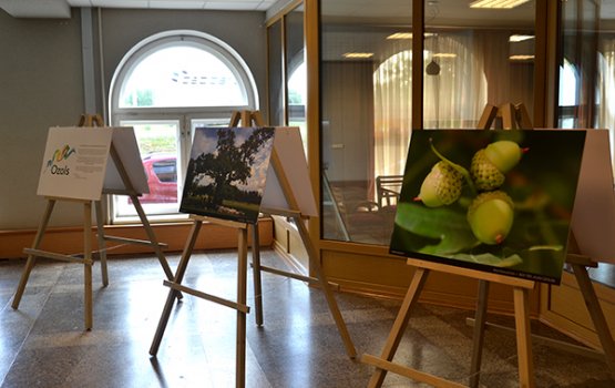 � ��������� ���� ��������� ������������