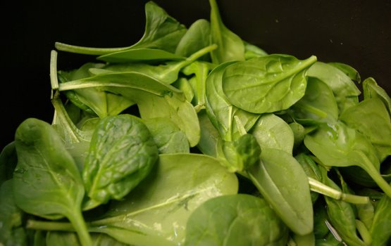 ������ ��� �������� � ���������