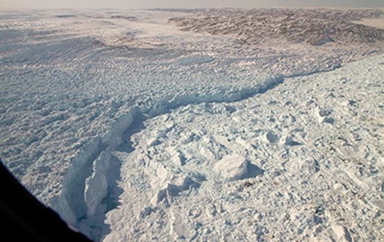 ���� ������ ���������� ���������� �������� ����