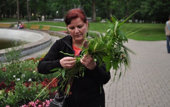 ����� ���� � ������������ ����� (����)