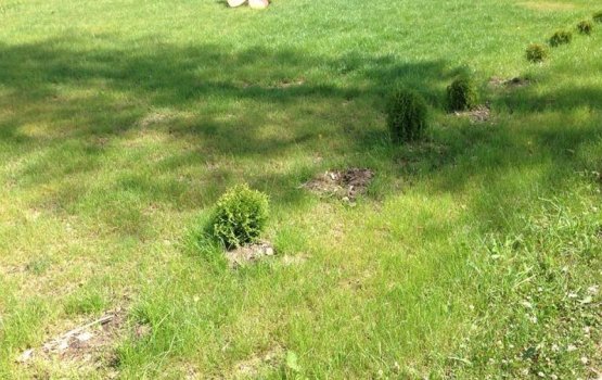 ����� � ��� ���������� � �����: ���� ���������� � ���������������