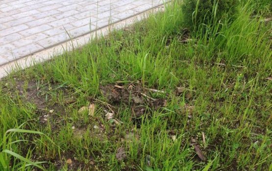 ����� � ��� ���������� � �����: ���� ���������� � ���������������