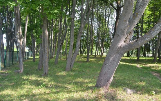 ������ ��������� ������ ���������������� ���������� ����� �����