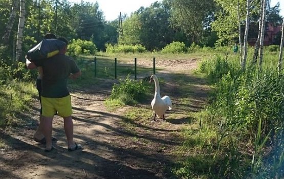 ������-���������� �������� ������� ������������ ������������������